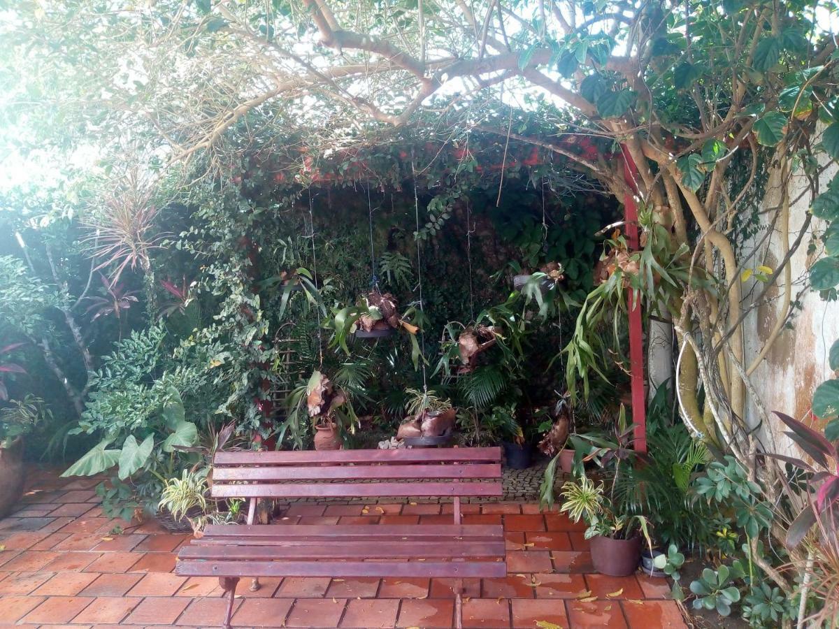 Aloha Hostel カボ・フリオ エクステリア 写真